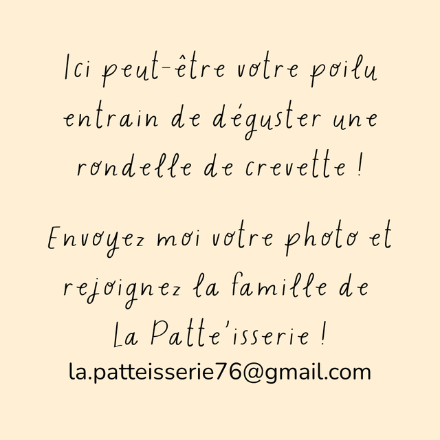 Rondelle de crevette vapeur - 100g