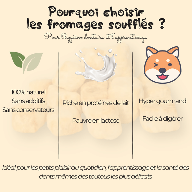 Doogy - Fromage à souffler
