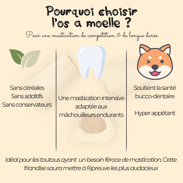 Os à moelle fourré