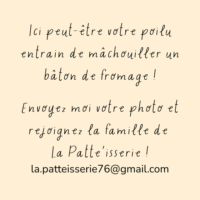 Filou - Fromage à mâcher pour chien