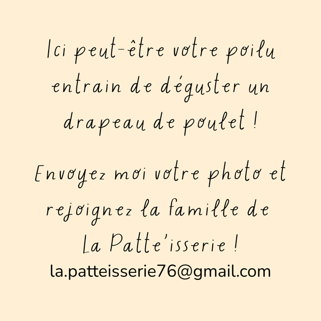 Drapeaux de poulet - 100g