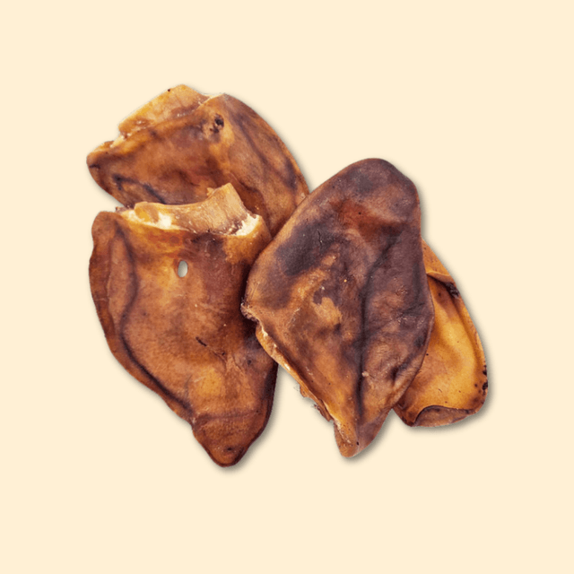 Oreille de porc