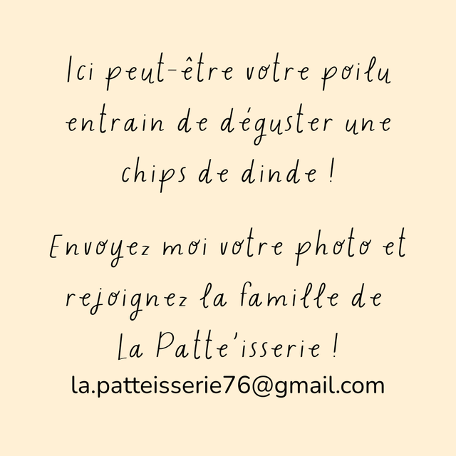 Chips moelleuse de dinde - 100g