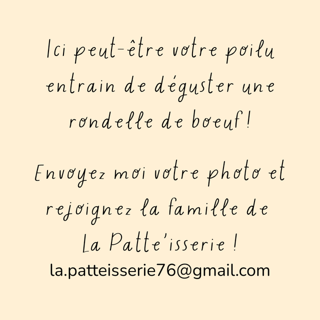Rondelle de bœuf - 100g