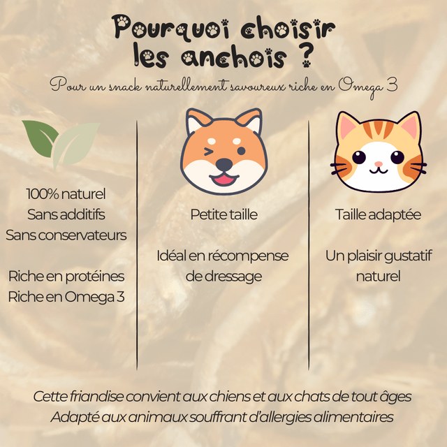 Anchois - 100g