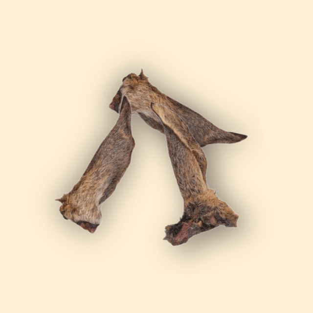 Oreille de cerf