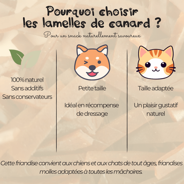 Lamelle de canard grillé - 100g