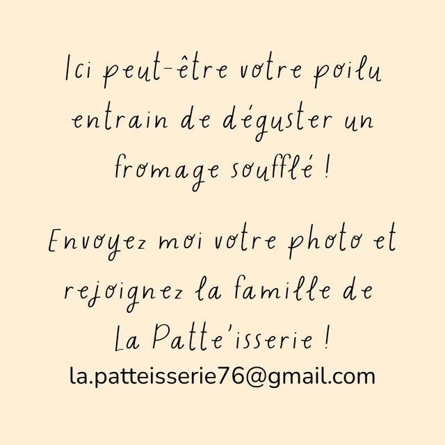 Doogy - Fromage à souffler