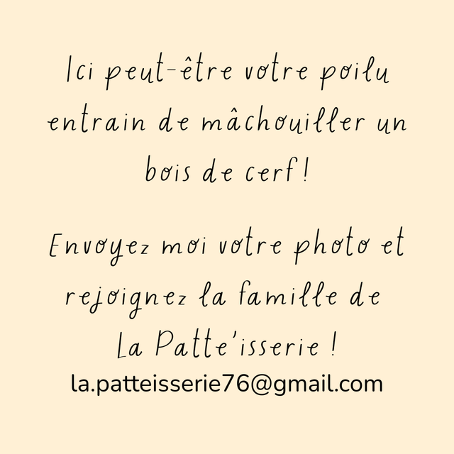 Bois de cerf entier