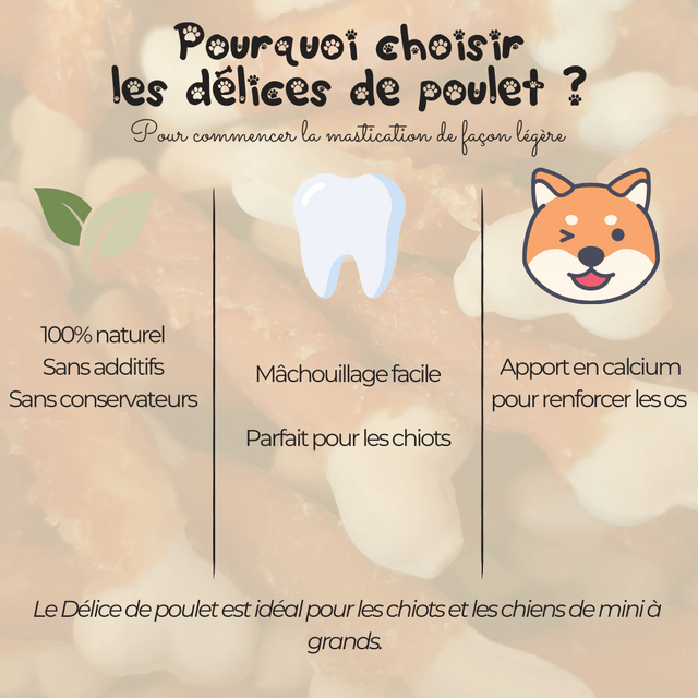 Délices de poulet - 100g