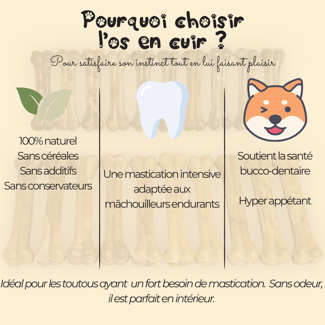 Os en cuir pressé