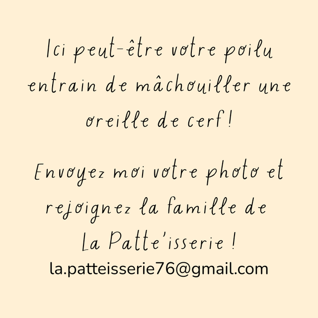 Oreille de cerf