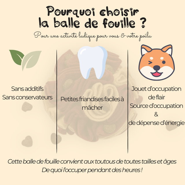 Balle de fouille & Friandises