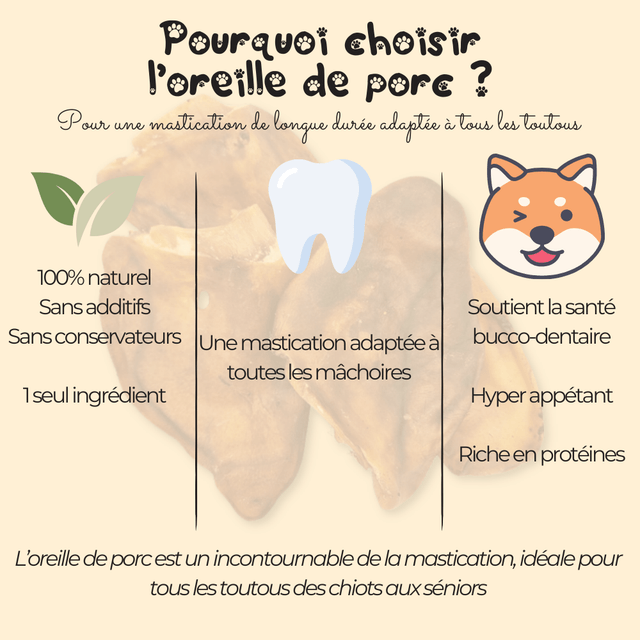 Oreille de porc