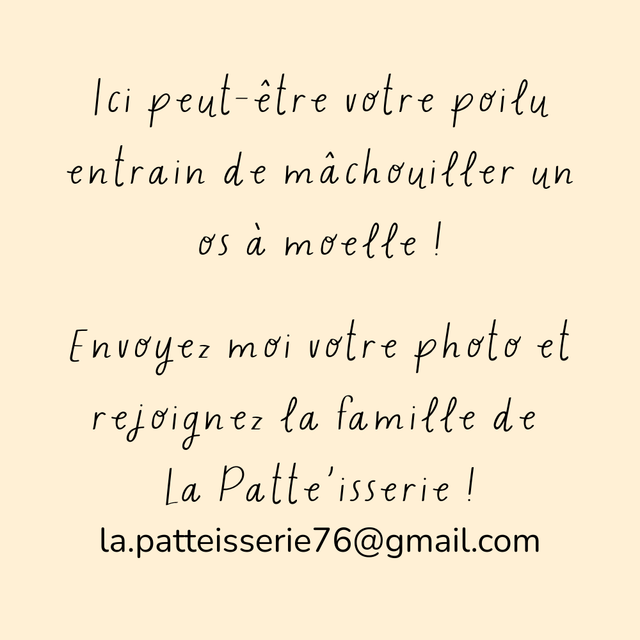 Os à moelle fourré