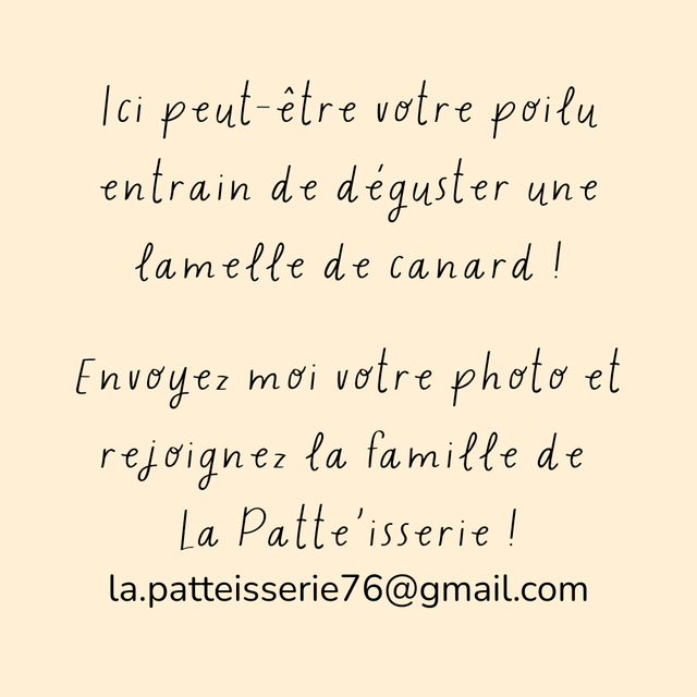 Lamelle de canard grillé - 100g