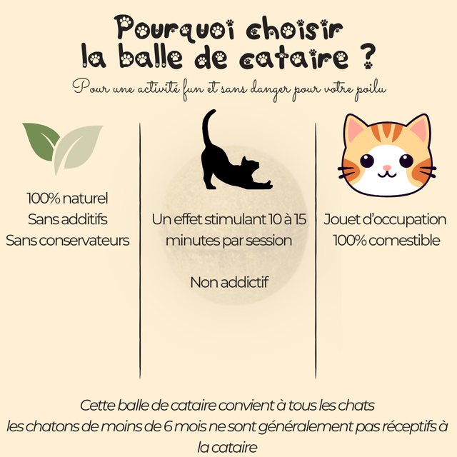 Boulette - Balle d'herbe à chats