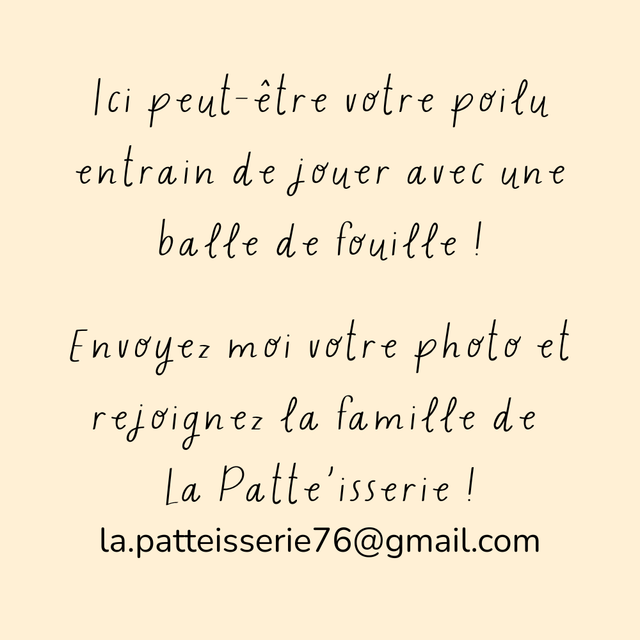 Balle de fouille & Friandises